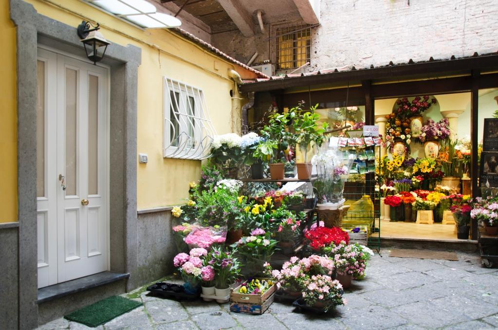 Casa Tonia San Cesareo Διαμέρισμα Σορέντο Δωμάτιο φωτογραφία
